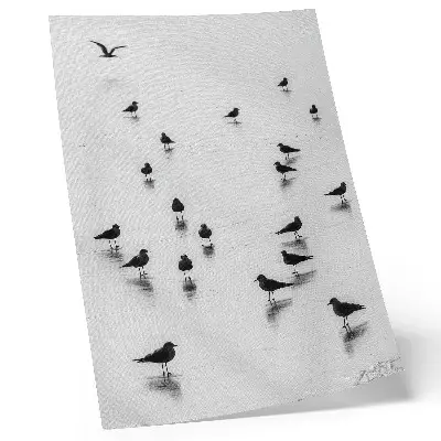 Plakát na zeď ptáci nad vodou s jemnými odrazy v minimalistickém stylu