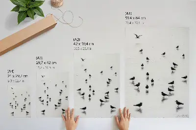 Plakát na zeď ptáci nad vodou s jemnými odrazy v minimalistickém stylu