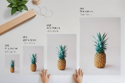 Dekorativní plakát Ananas s tyrkysovými listy na bílém pozadí