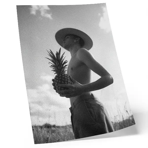Plakát monochromatický obrázek s motivem klobouku a ananasového pole