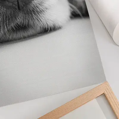 Plakát na zeď minimalistický detail psí srsti v černobílém provedení