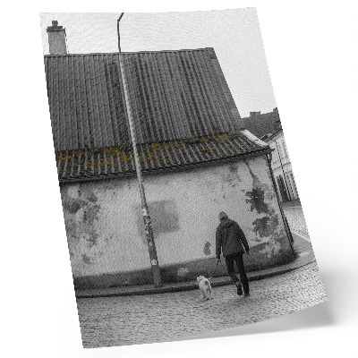 Plakátový obraz Osoba se psem před starou budovou