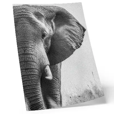 Plakátový obraz monochromatická atmosféra se zmačkanou kůží v elegantním stylu