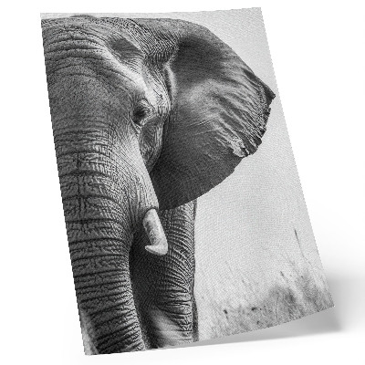 Plakátový obraz Monochromatická atmosféra, zmačkaná kůže, elegance