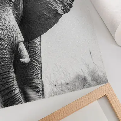 Plakátový obraz monochromatická atmosféra se zmačkanou kůží v elegantním stylu