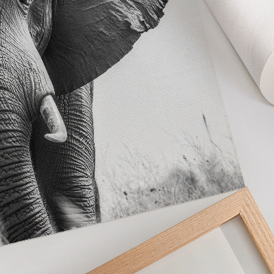 Plakátový obraz Monochromatická atmosféra, zmačkaná kůže, elegance