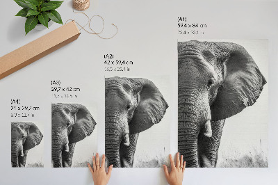 Plakátový obraz Monochromatická atmosféra, zmačkaná kůže, elegance