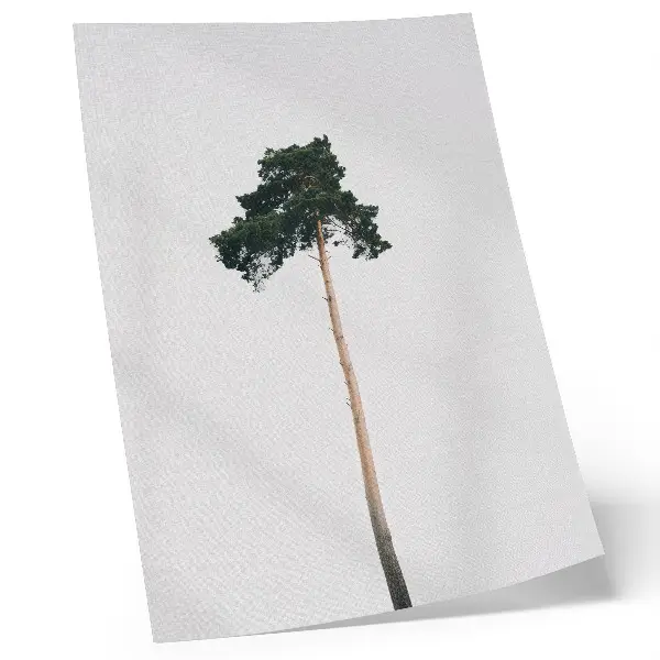 Plakát osamělý strom na světlém minimalistickém pozadí