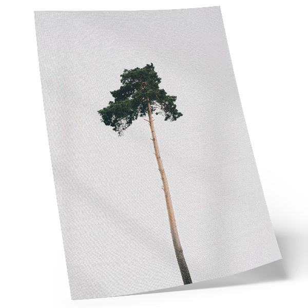 Plakát Osamělý strom na světlém pozadí s minimalismem