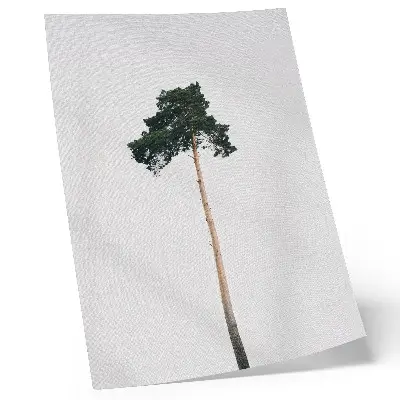 Plakát osamělý strom na světlém minimalistickém pozadí