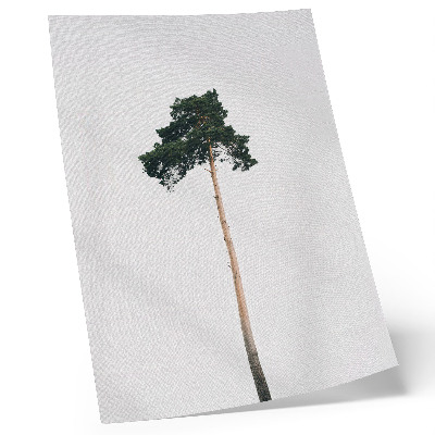 Plakát Osamělý strom na světlém pozadí s minimalismem