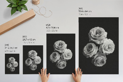 Nástěnný plakát Černobílé růže minimalismus klasika elegance