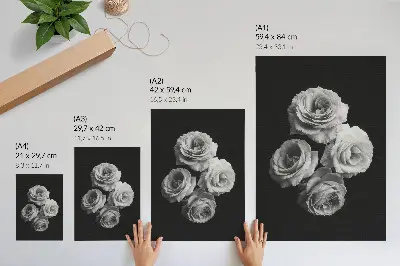 Nástěnný plakát černobílé růže v minimalistickém a elegantním stylu