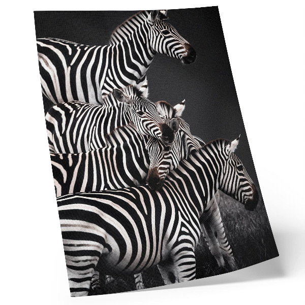 Dekorativní plakát Zebra kontrastní černé a bílé svislé čáry