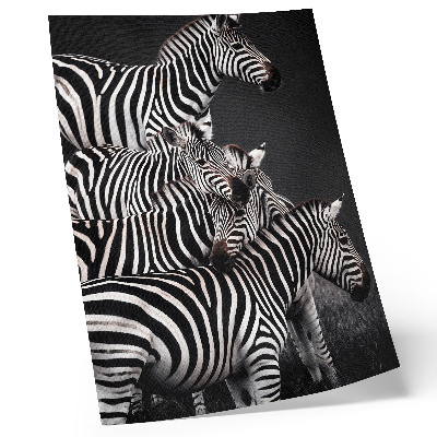 Dekorativní plakát Zebra kontrastní černé a bílé svislé čáry