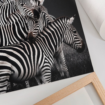 Dekorativní plakát Zebra kontrastní černé a bílé svislé čáry