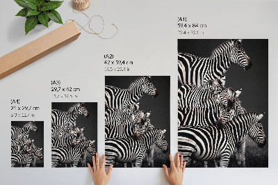 Dekorativní plakát Zebra kontrastní černé a bílé svislé čáry
