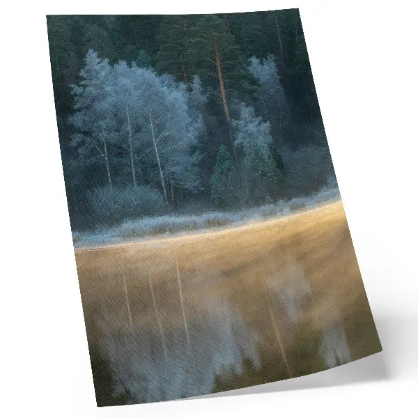 Plakát tichý les nad vodní hladinou s mystickou aurou