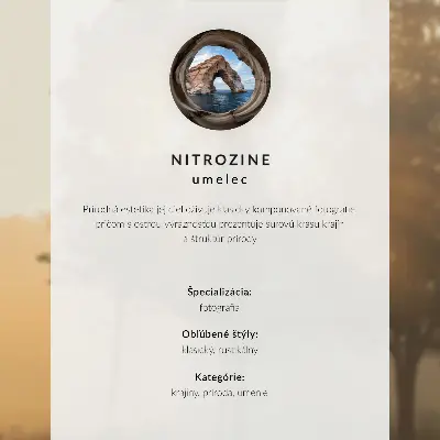 Nástěnný plakát černo-bílý strom v mlze s motivem ticha
