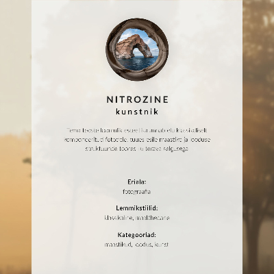 Nástěnný plakát Černobílý strom v mlze, jedinečné ticho
