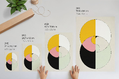 Plakát Geometrické kruhy, kontrastní barvy, minimalistický styl