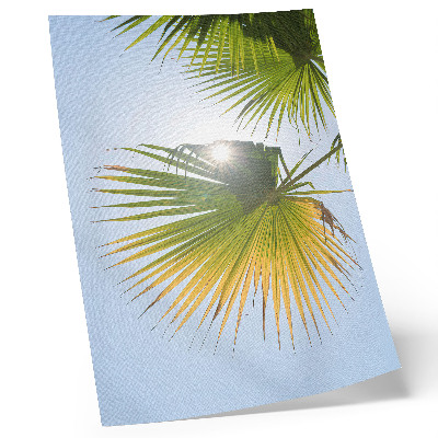 Nástěnný plakát Palmové listy modré pozadí slunečního záření