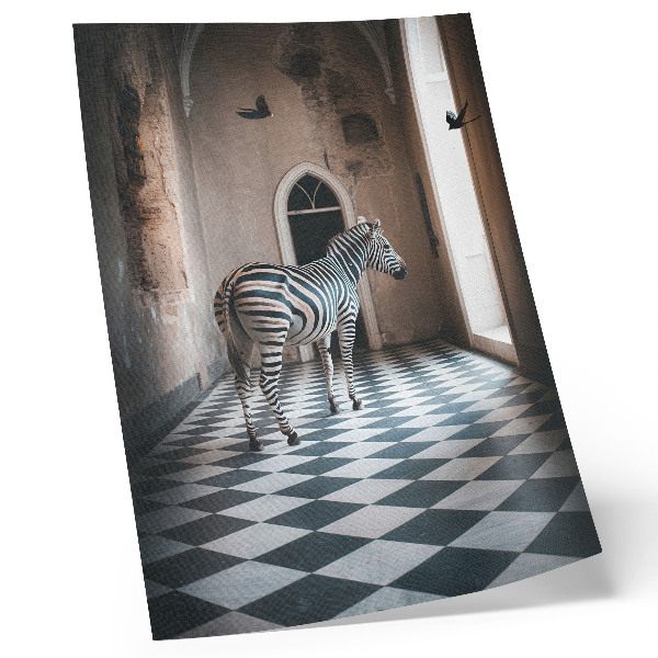 Plakátový obraz Zebra na pozadí architektury s ptáky za letu