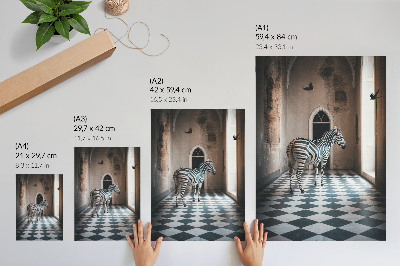 Plakátový obraz Zebra na pozadí architektury s ptáky za letu
