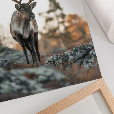 Nástěnný plakát Jelen na pozadí skal a stromů v podzimní krajině