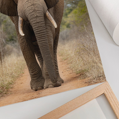 Nástěnný plakát Slon na cestě v africké krajině