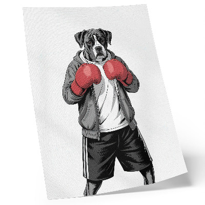 Plakát Boxerské rukavice pro psy boxery ve sportovním stylu