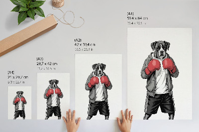 Plakát Boxerské rukavice pro psy boxery ve sportovním stylu