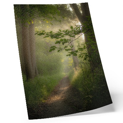 Plakát na zeď Zelené listy, paprsek světla, lesní cesta