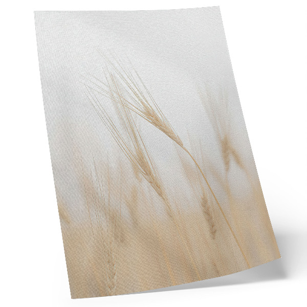 Plakátový obraz Minimalistická elegance klasů obilí