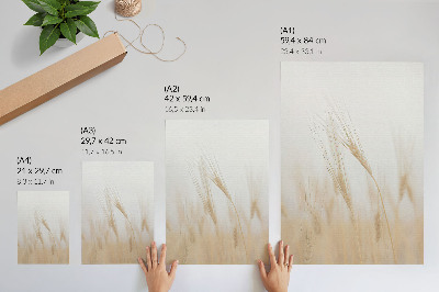 Plakátový obraz Minimalistická elegance klasů obilí