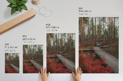 Plakát dřevěná cesta v lese s podzimními barvami stromů