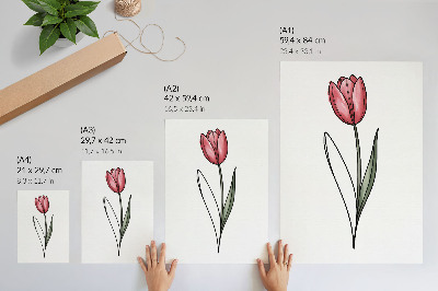 Nástěnný plakát Růžový tulipán jednoduchý obrys světlost
