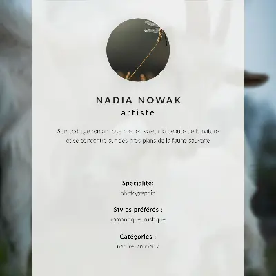 Plakát na zeď dobytek ve sněhu jako kontrast zvířete a přírody