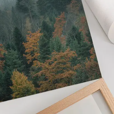 Plakát na zeď zelené stromy v mlze s oranžovými listy