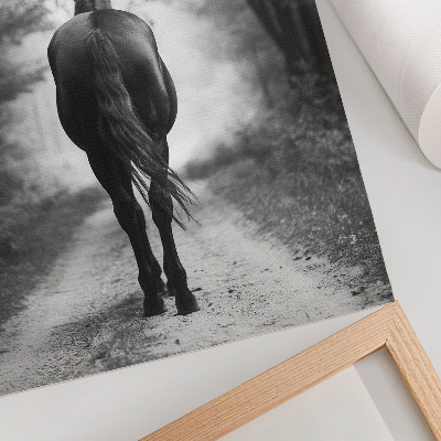 Dekorativní plakát Černobílý kůň v lesní fotografii