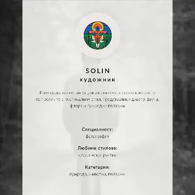 Dekorativní plakát černobílý kůň v lese