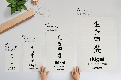 Dekorativní plakát Černobílé japonské znaky elegance moudrost