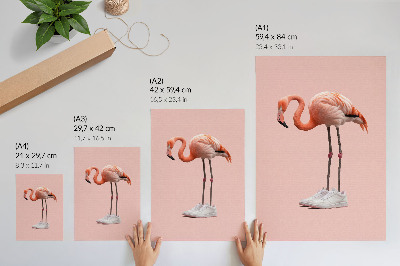 Plakát Flamingo růžové sportovní boty růžové pozadí