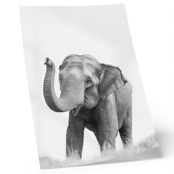 Plakát Monochromatický slon se zvednutým chobotem
