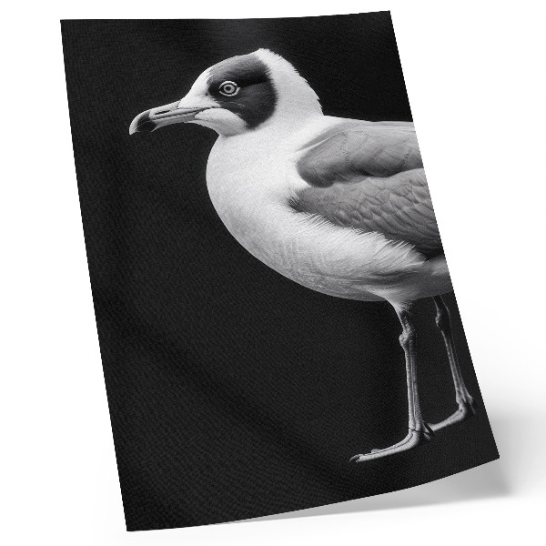 Plakátový obraz Minimalistický styl kontrastu černé a bílé pták