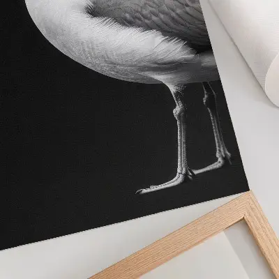 Plakátový obraz minimalistický kontrastní motiv ptáka v černobílém stylu