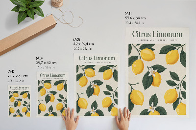 Dekorativní plakát Šťavnaté citrony zelené listy krémové pozadí
