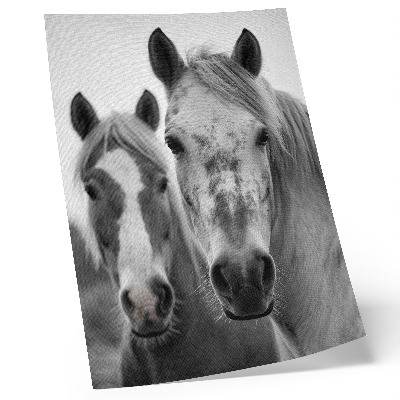 Plakát Koně v monochromatickém záběru plném elegance