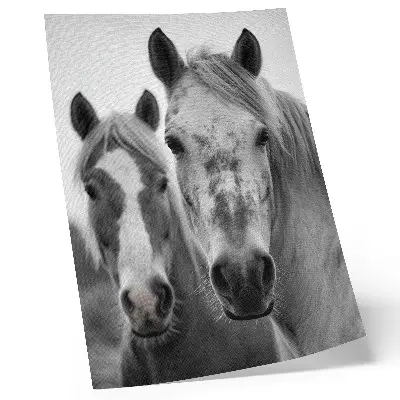 Plakát koně v monochromatickém záběru s nádechem elegance