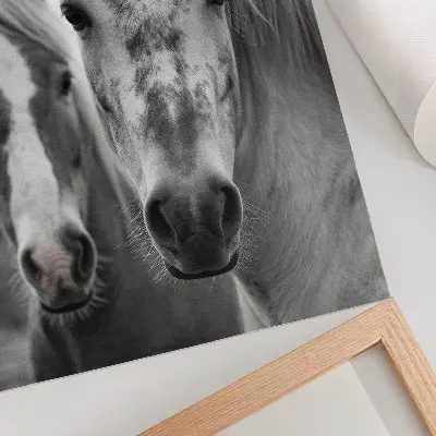 Plakát koně v monochromatickém záběru s nádechem elegance